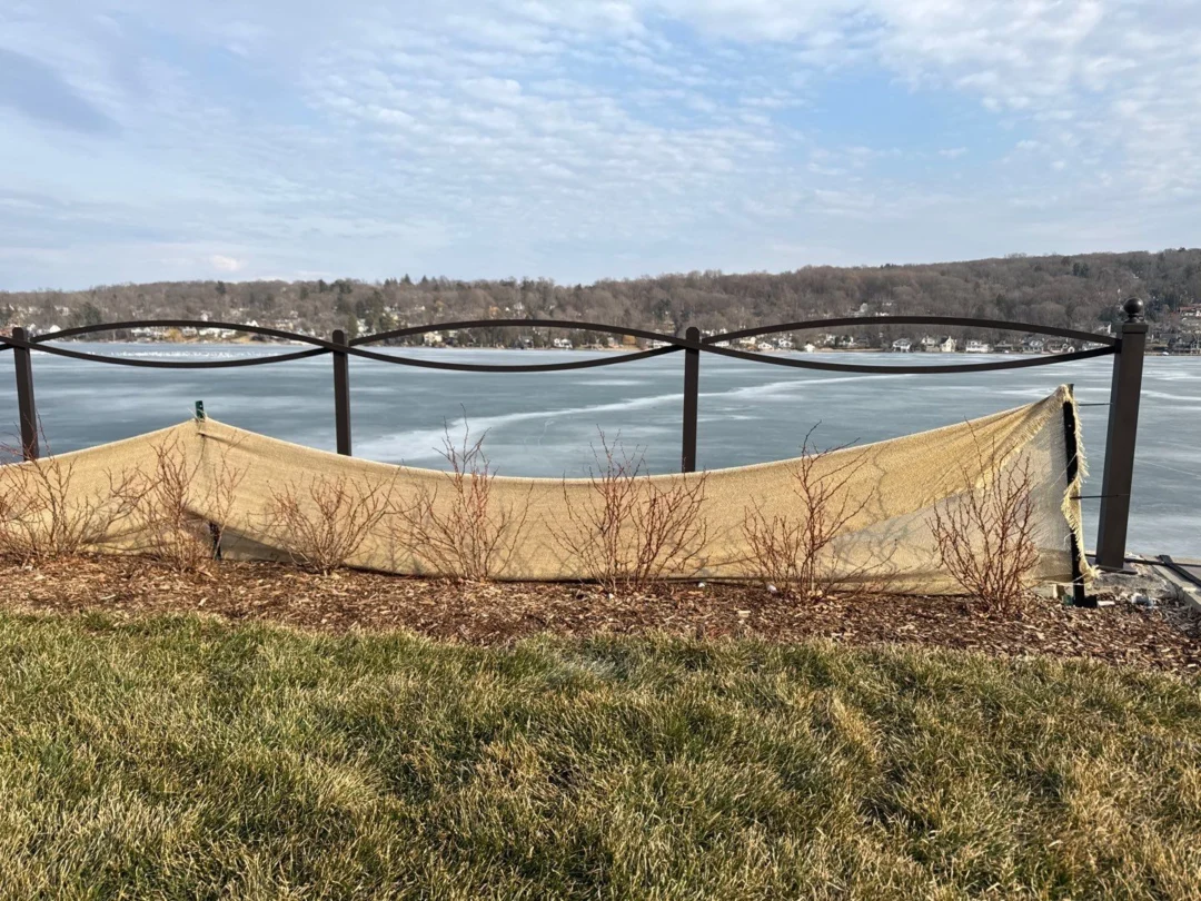 Estate Fence 16 - Image 6