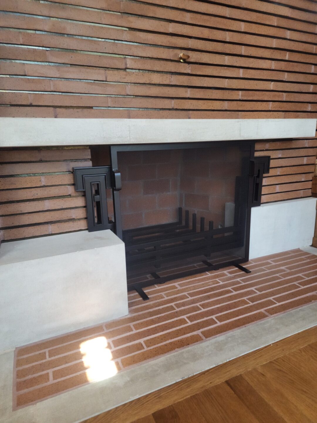 Fire Place Door